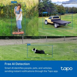 Tapo C501GW 4G 360° Outdoor Surveillance Camera with SIM Card - Image 5